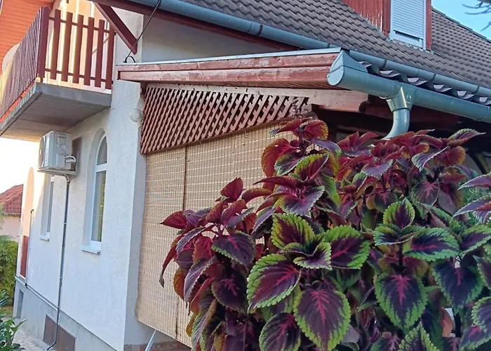 Feriehus Mazsola Vendeghaz